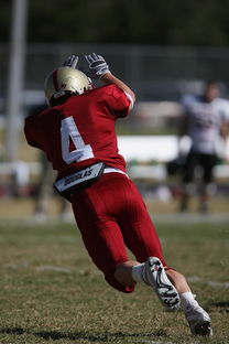 1xBit体育中国官网-西悉尼流浪者严阵以待，防守端力求零封对手