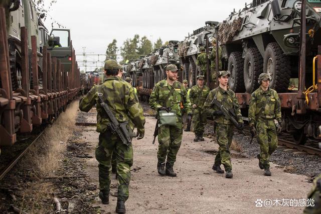 1xBit体育登录入口-瑞典艰难晋级，实力逐渐崛起